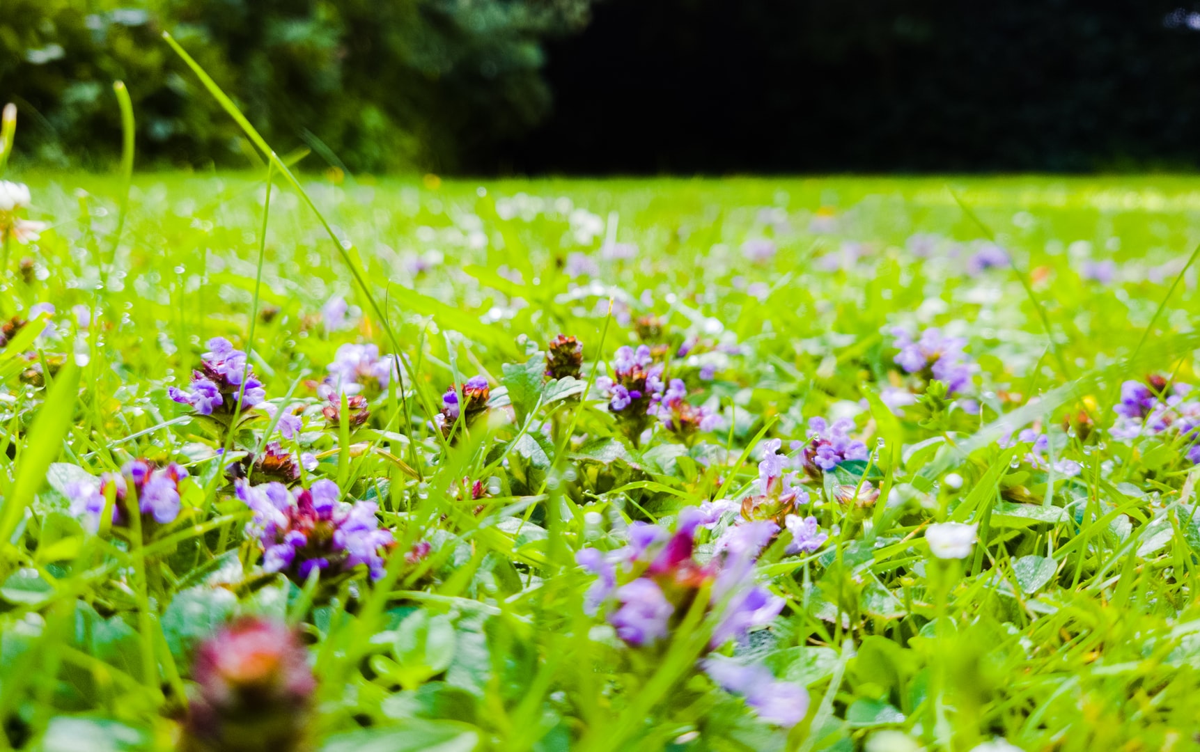 RJ Service Home and Garden Improvements - Handyman in Boston, Lincolnshire