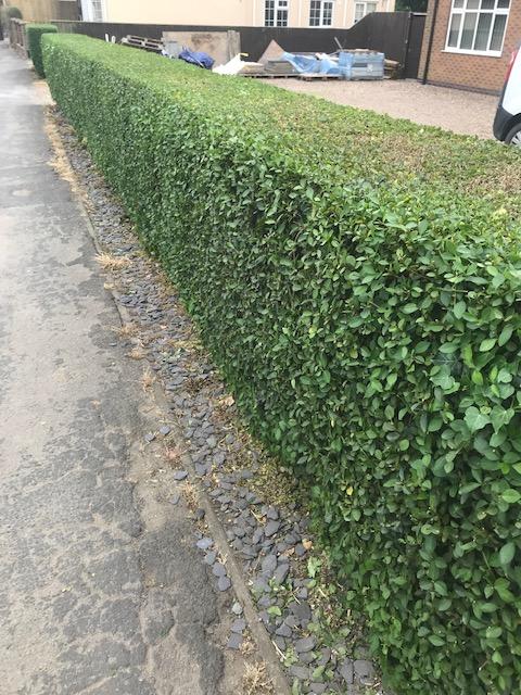 RJ Service Home and Garden Improvements - Handyman in Boston, Lincolnshire