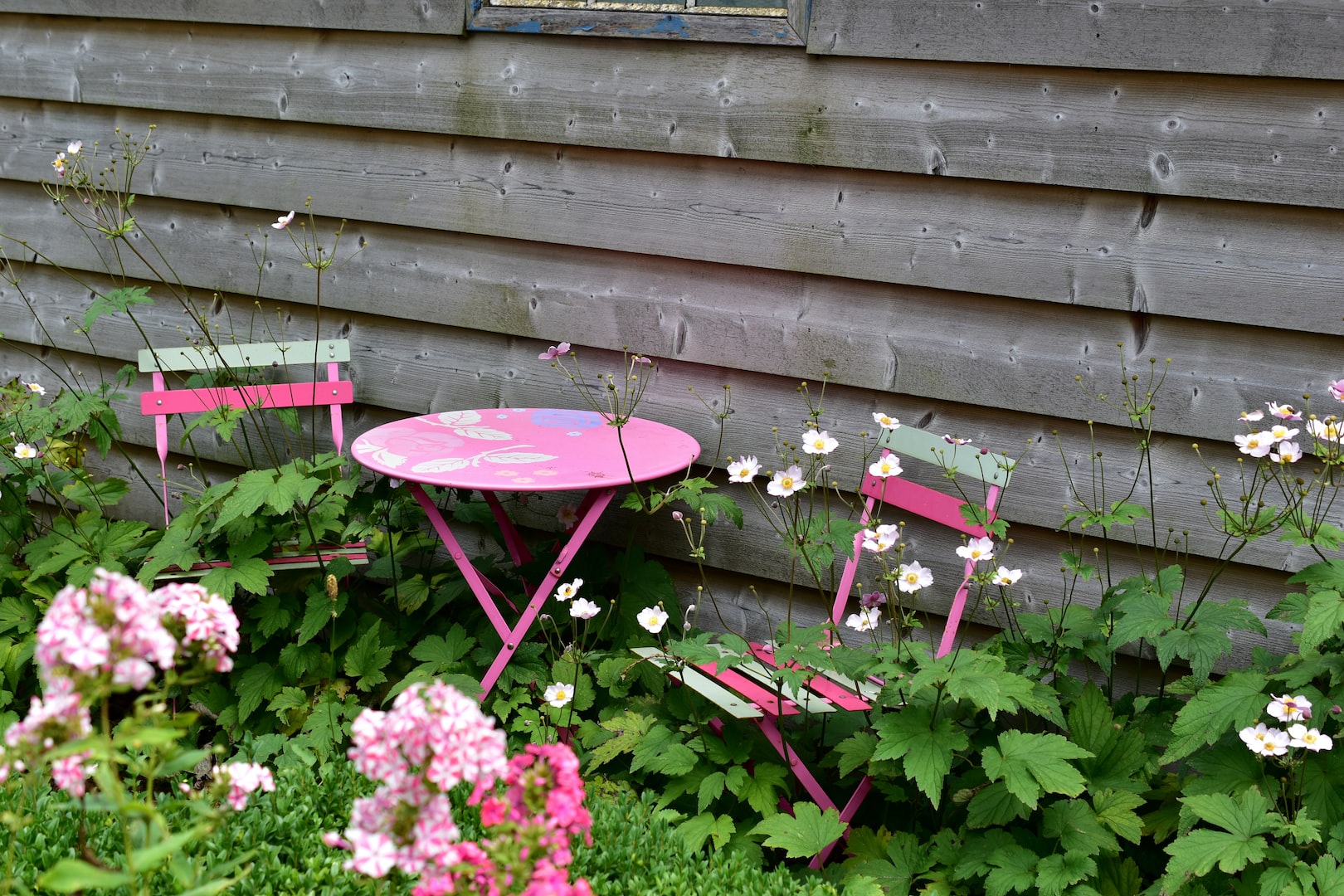 Over grown garden